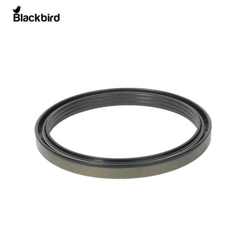 Mat 3510 Front Seal fro carraro CAR47705