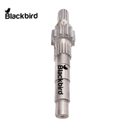 Bull Pinion – Blackbird
