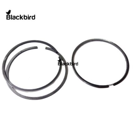 Piston Ring Set 9970991