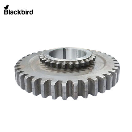D10093950A