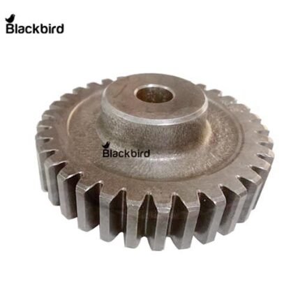 R50379